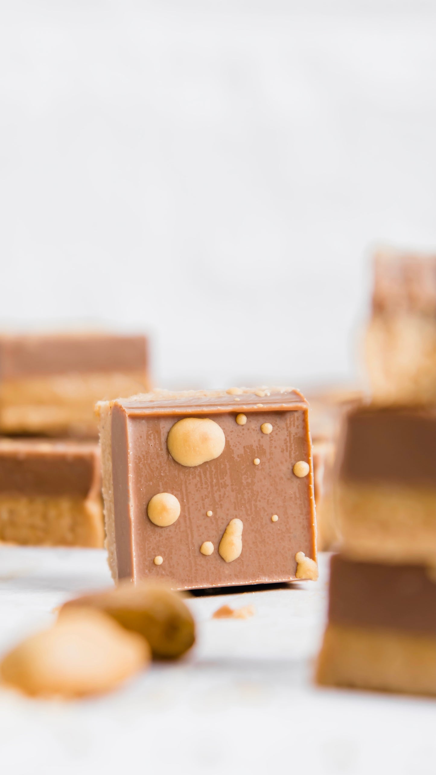 Fudge Factory Soy Wax Melt